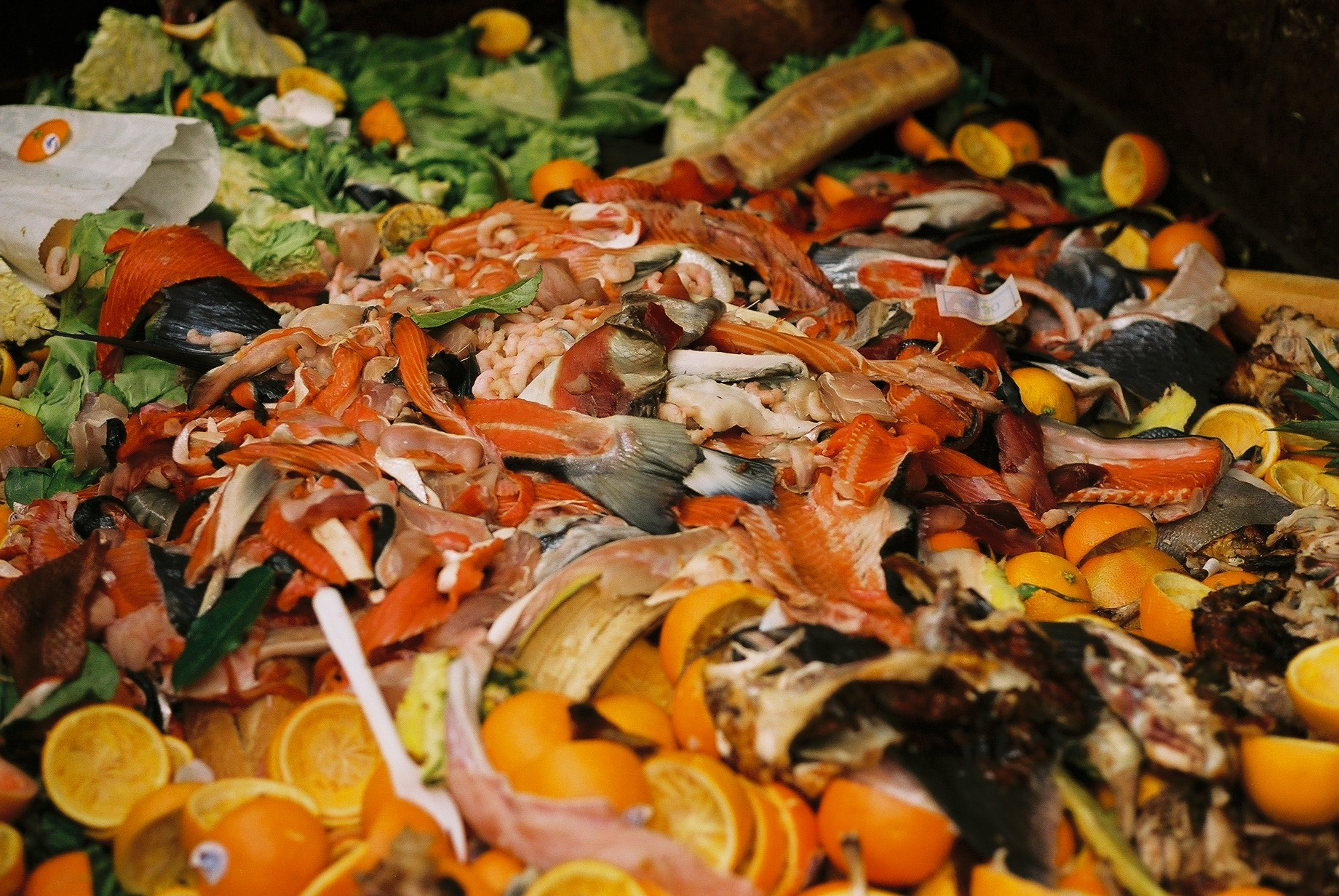 Food waste (wikimedia commons)