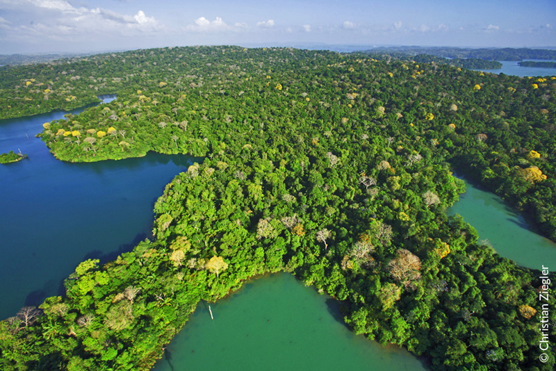 Barro Colorado Island