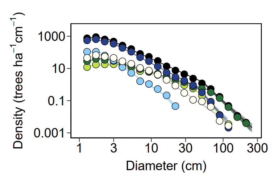 Tree density by size on BCI - figure by QDR
