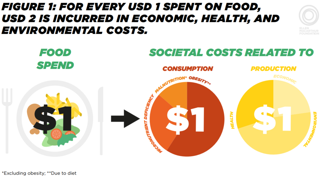 Societal cost of food