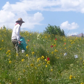 Watering field experiment - photo by QDR